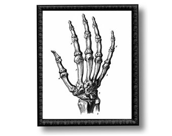 anatomie botten hand