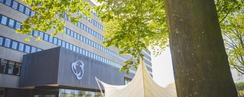 orthopedie lucas brugge