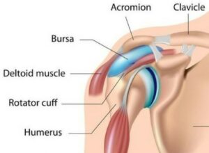 specialist schouder orthopedie