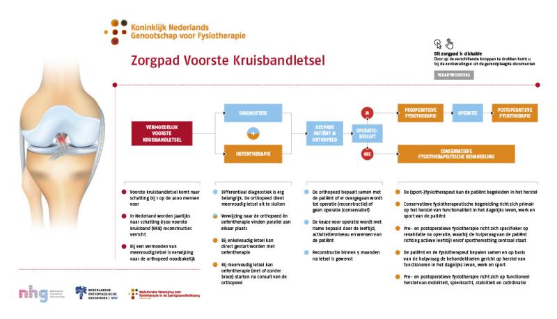 verschil orthopeed en fysiotherapeut