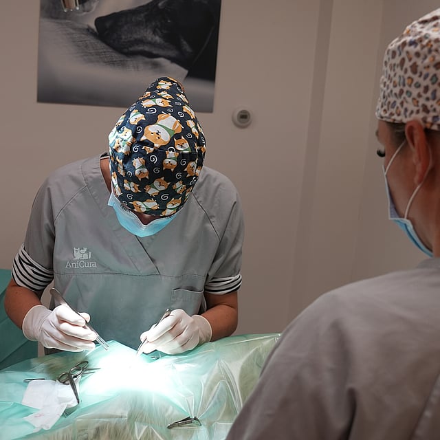 wat doet een orthopedisch chirurg